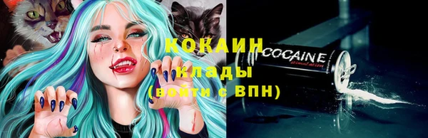 амф Аркадак