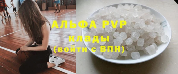 амф Аркадак