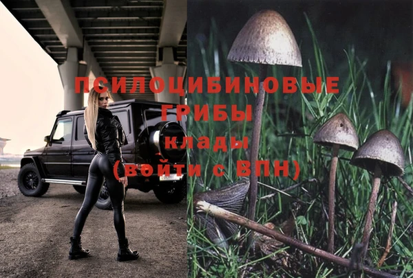 a pvp Армянск